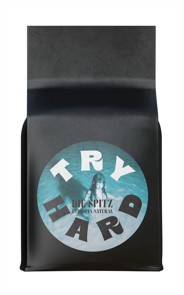 Try Hard Limited Vinyl Coffee Subscription