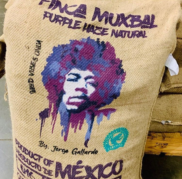 Try Hard Coffee - Purple Haze Coffee Bag