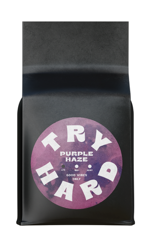 Try Hard Coffee - Purple Haze Natural Mexico