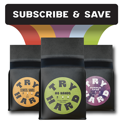 Try Hard Coffee - Single Origin Coffee Subscription